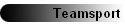 Teamsport