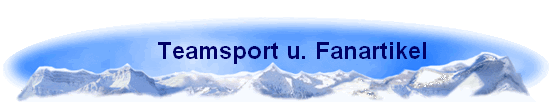      Teamsport u. Fanartikel